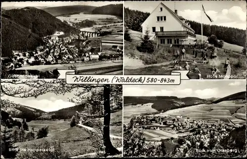 Ak Willingen im Upland Waldeck Hessen, Haus Monopol, Blick vom Orenberg, Gesamtansicht