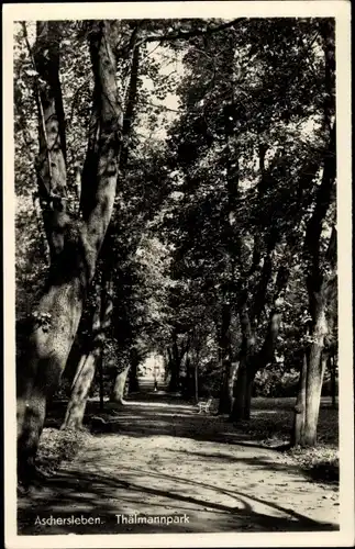 Ak Aschersleben im Salzlandkreis, Thälmannpark