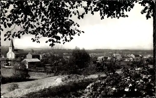 Ak Lavaux Sainte Anne Wallonischer Hennegau, Panorama