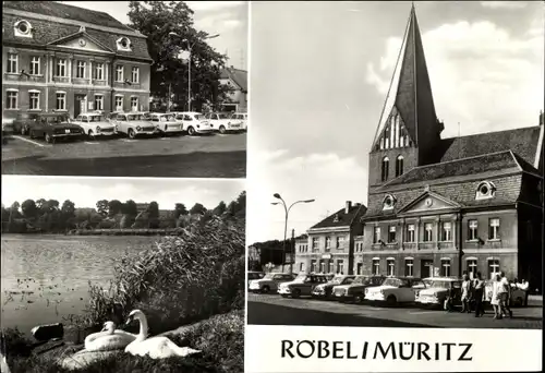 Ak Röbel an der Müritz, Teilansichten, Kirche, Rathaus, Schwäne