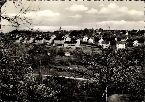 Ak Großsachsenheim Sachsenheim in Württemberg, Hohwiesen, Panorama