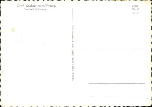 Ak Großsachsenheim Sachsenheim in Württemberg, Hohwiesen, Panorama