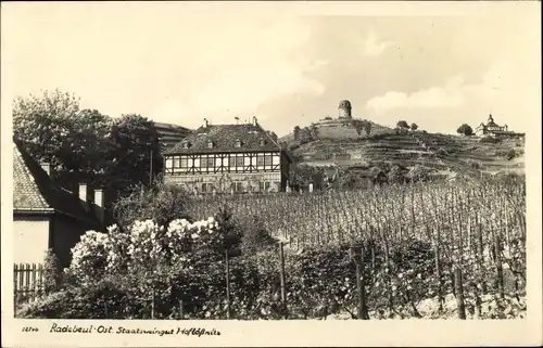 Ak Radebeul in Sachsen, Staatsweingut Hoflößnitz