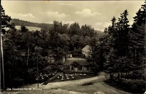Ak Eisenberg in Thüringen, Froschmühle, Mühltal