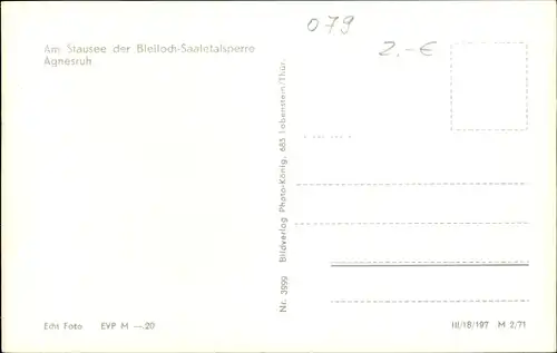Ak Schleiz Saale Orla Kreis, Stausee der Bleilochtalsperre, Agnesruhe