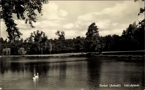 Ak Zerbst in Anhalt, Schlossteich