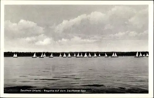 Ak Zeuthen in der Mark, Regatta auf dem Zeuthener See