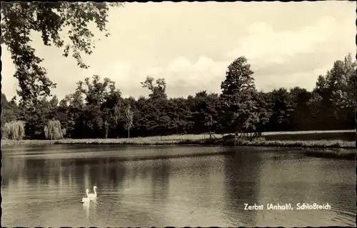 Ak Zerbst in Anhalt, Schlossteich