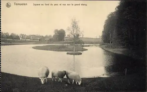 Ak Tervuren Tervueren Flämisch Brabant Flandern, Square au fond du parc et vue sur le grand etang