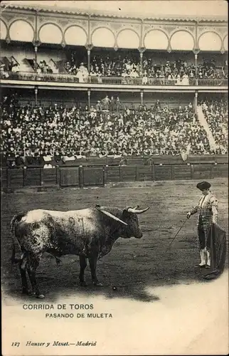 Ak Madrid Spanien, Corrida de Toros, Pasando de Muleta, Stier