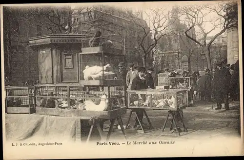 Ak Paris VII, le marché aux Oiseaux