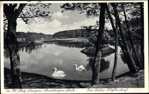 Ak Bergen in der Lüneburger Heide, Truppenübungsplatz, Mühlenteich, Schwäne