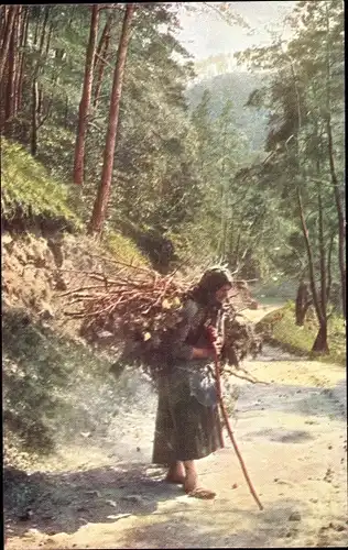 Ak Niederösterreich, Im Wienerwald, Holzsammlerin