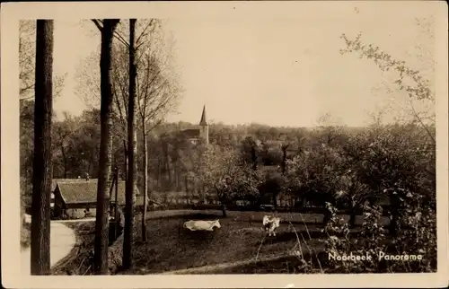 Ak Noorbeek Limburg Niederlande, Teilansicht