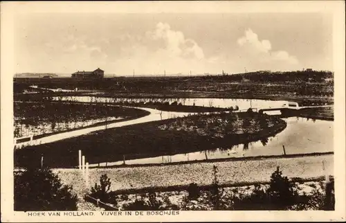 Ak Hoek van Holland Rotterdam Südholland Niederlande, Vijver in de Boschjes