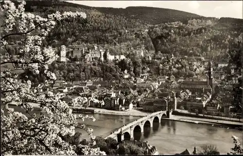 Ak Heidelberg am Neckar, Blick vom Philosophenweg, Frühling, Brücke