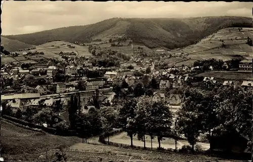 Ak Steinach im Thüringer Wald, Panorama vom Ort