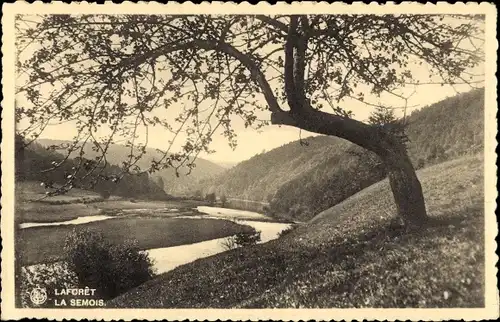 Ak Laforêt Vresse sur Semois Wallonie Namur, Panorama