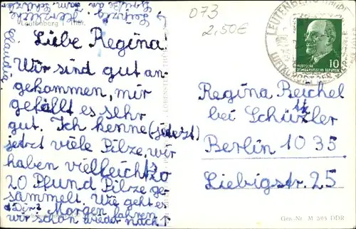 Ak Leutenberg in Thüringen, Panorama