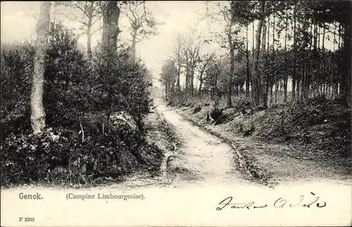 Ak Genck Flandern Limburg, Campine Limbourgeoise, Waldweg