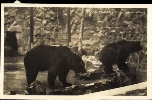Ak Praha Prag, Zwei Braunbären
