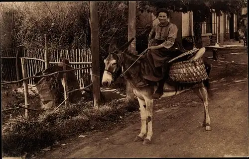 Ak Baskenlaned, Pays Basque, Monture de Boulangere, Frau auf einem Esel