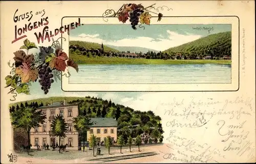 Litho Ruwer Trier an der Mosel, Longen's Wäldchen, Gasthaus