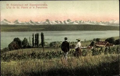 Ak St. Petersinsel Île Saint-Pierre Bielersee Lac de Bienne Kanton Bern, Alpenpanorama