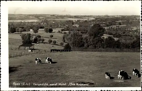 Ak Epen Limburg Niederlande, Blick vom Hotel Ons Krijtland, Kühe weiden