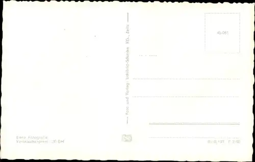 Ak Zeitz im Burgenlandkreis, Schwanenteich