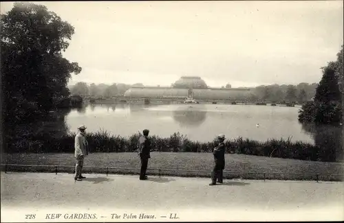 Ak London West, Kew Gardens, Das Palmenhaus