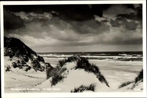 Ak Nordseebad Norderney Ostfriesland, In den Dünen