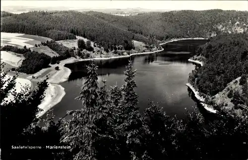 Ak Saalburg in Thüringen, Stausee der Bleiloch-Talsperre, Blick vom Marienstein