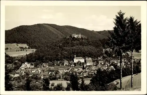 Ak Leutenberg in Thüringen, Gesamtansicht, Burg