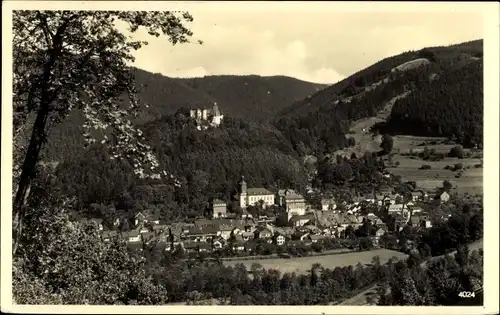 Ak Leutenberg in Thüringen, Panorama