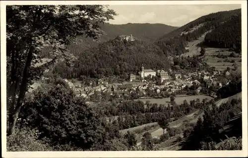 Ak Leutenberg in Thüringen, Panorama