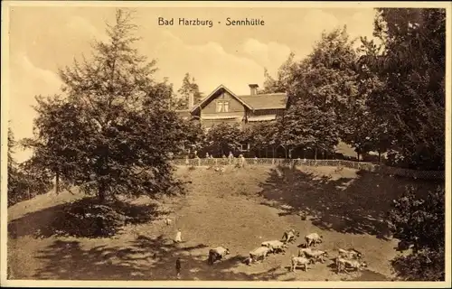 Ak Bad Harzburg am Harz, Sennhütte