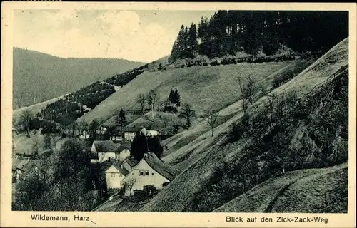 Ak Wildemann Clausthal Zellerfeld im Oberharz,  Zick-Zack-Weg