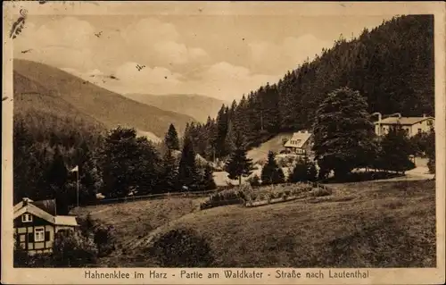 Ak Hahnenklee Bockswiese Goslar im Harz, Waldkater, Straße nach Lautenthal