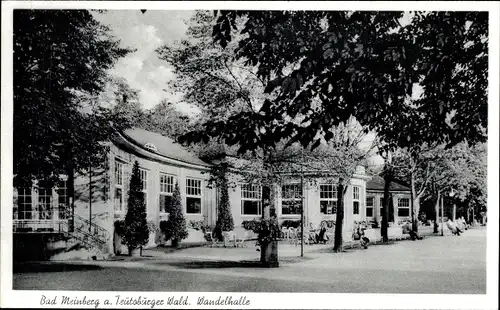 Ak Horn Bad Meinberg im Kreis Lippe, Teilansicht der Wandelhalle