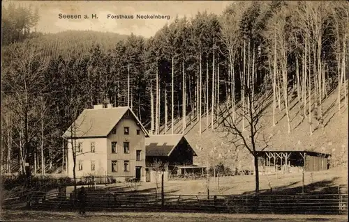 Ak Seesen in Niedersachsen, Blick auf Forsthaus Neckelnberg