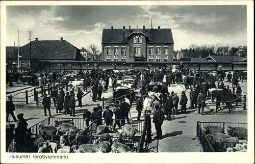 Ak Husum in Nordfriesland, Husumer Viehmarkt, Gasthof Schulterblatt, Rinder, Schafe, Händler