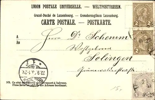 Präge Passepartout Wappen Ak Luxemburg Luxembourg, Totalansicht