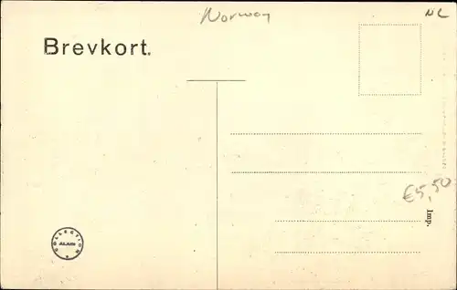 Ak Vossevangen Norwegen, Holbergspladsen