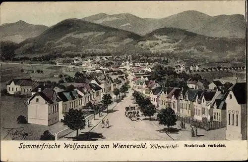 Künstler Ak Wolfpassing Niederösterreich, Wienerwald, Villenviertel