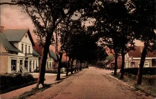 Ak Hahn Lehmden Rastede in Oldenburg, Straßenpartie, Wohnhäuser