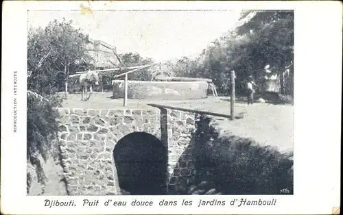 Ak Dschibuti, Gärten von Hambouli, Brunnen