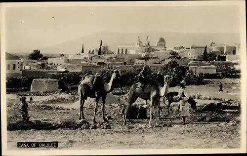 Foto Ak Kana Galiläa Palästina, Panorama, Kamele
