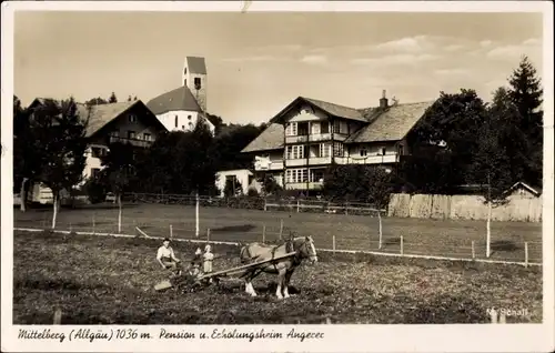 Ak Oy Mittelberg im Allgäu, Pension und Erholungsheim Angerer, Pferdepflug