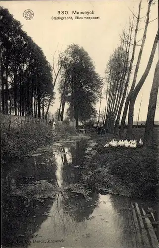 Ak Maaseik Maeseyck Flandern Limburg, Stadsgracht, Bleumerpoort